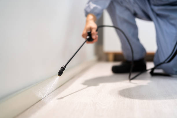 Licensed Mosquito Control service in Portsmouth, OH - Show Me Pest Control