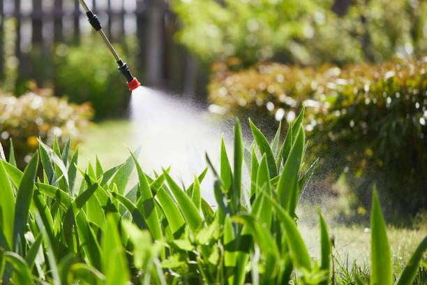 24/7 Emergency Mosquito Control experts in Portsmouth, OH
